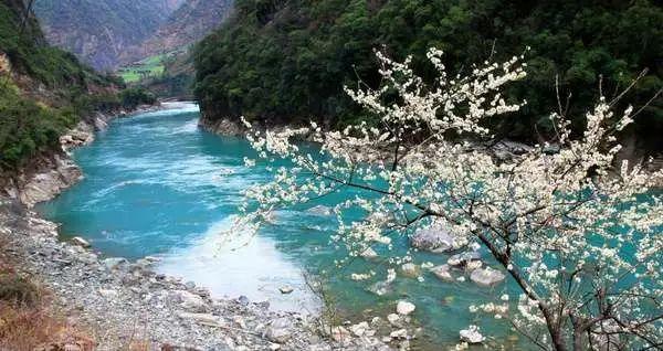 消逝的光芒