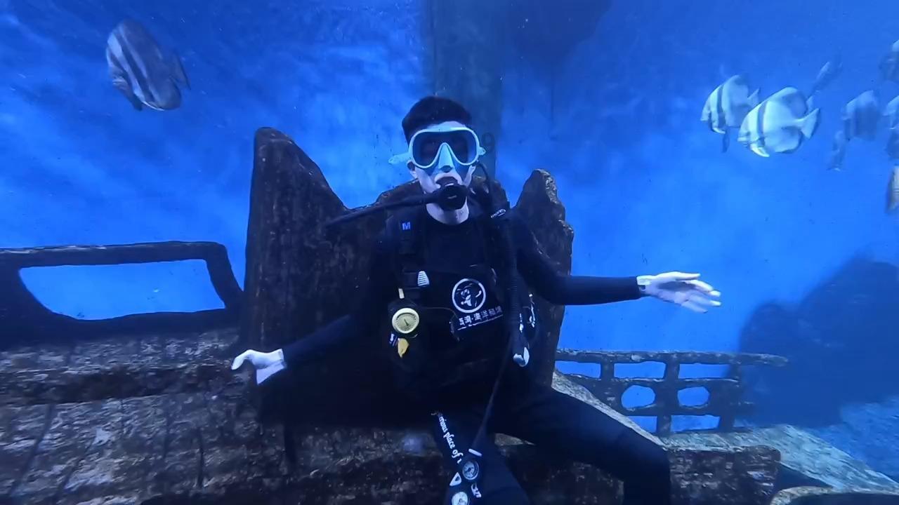 大话西游手游