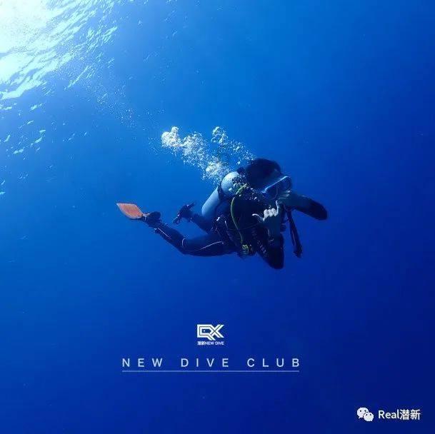救援海盗章鱼