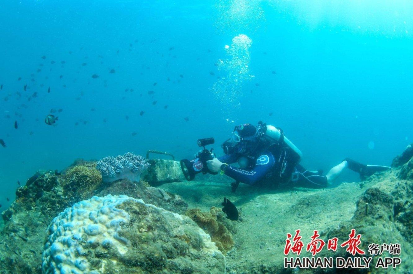 万词王