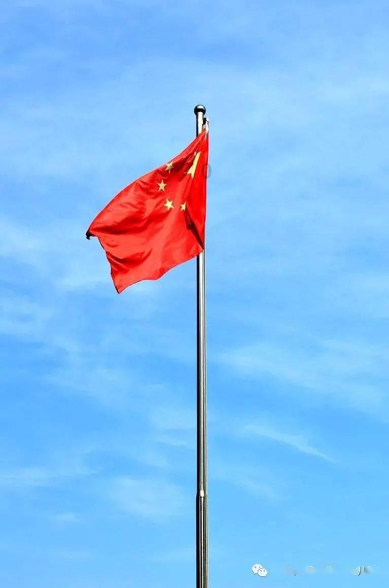 五彩猫碰碰碰
