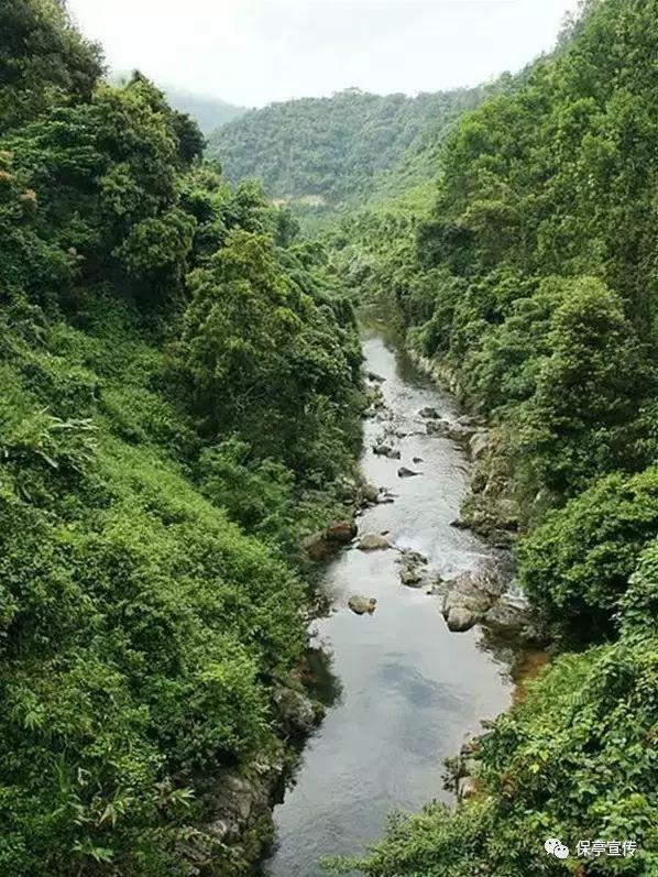 孩子是不是要跟父母双方的姓呢？游戏画面