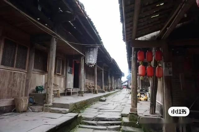 越过篱笆